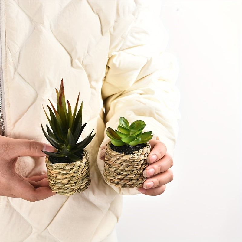 Lot de 5 plantes artificielles en pot Aloé et succulentes en plastique, décor intérieur ou extérieur, bureau, cuisine, mariage, idéal comme cadeau ou décoration maison.