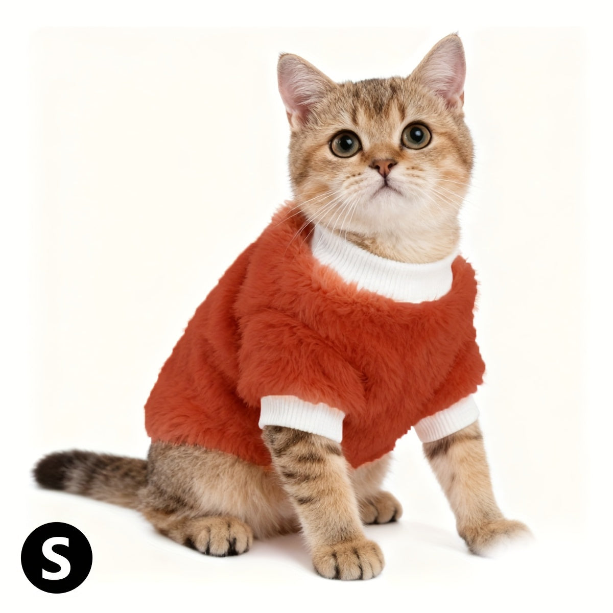 Pull en peluche confortable pour chats petits et moyens, chaud, motifs tigré/tortue, lavable à la main, idéal Noël et toutes saisons.