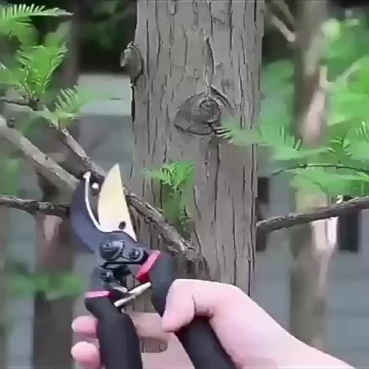 Professional titanium 8.5" (T13) pruner. Ultra-sharp blades for pruning shrubs, hedges and plants, robust and durable hand gardening tool.