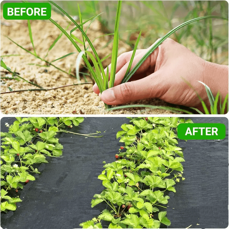 Filet respirant pour fraises et légumes, matériau PP durable, toutes saisons, personnalisable, facile à installer, protège du désherbage et favorise croissance des plantes.