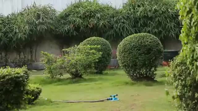 360° rotating sprinkler head, efficient garden irrigation, adjustable flow rate, complete lawn and plant coverage, green plastic design.