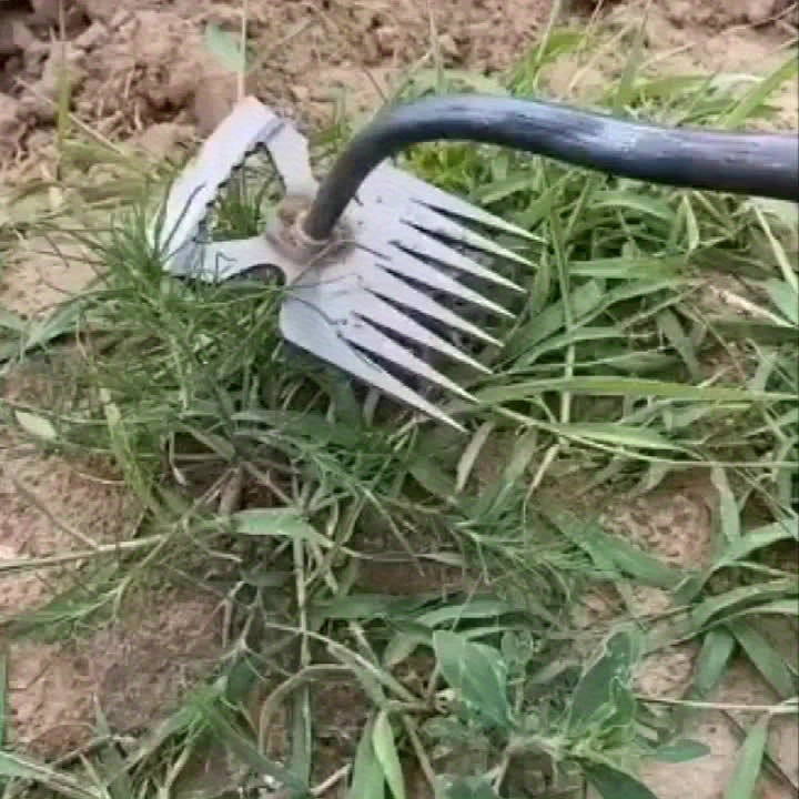 Outil de désherbage 2024 Binette ergonomique, durable pour jardinage et agriculture, idéale pour enlever herbes, entretenir jardins et embellir espaces extérieurs.