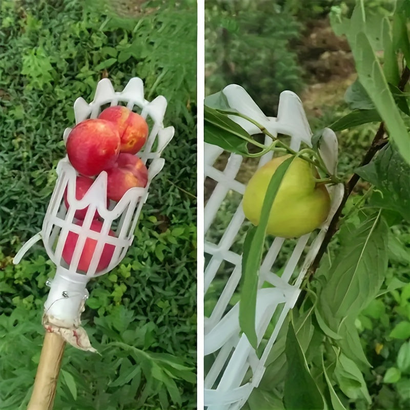 Robust and lightweight fruit picker, for orchards and gardens, efficient harvesting of apples, cherries, peaches, tomatoes, durable and easy tool.