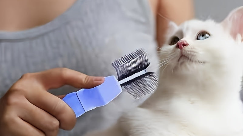 Brosse double-face pour chiens, démêlant et toilettant. Peigne en acier inoxydable, parfait pour le toilettage des chiens.