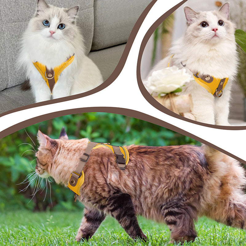 Harnais et laisse haut de gamme pour chats et chiens, maillage respirant, résistant, rivets décoratifs, D-ring doré, idéal promenades et entraînement.