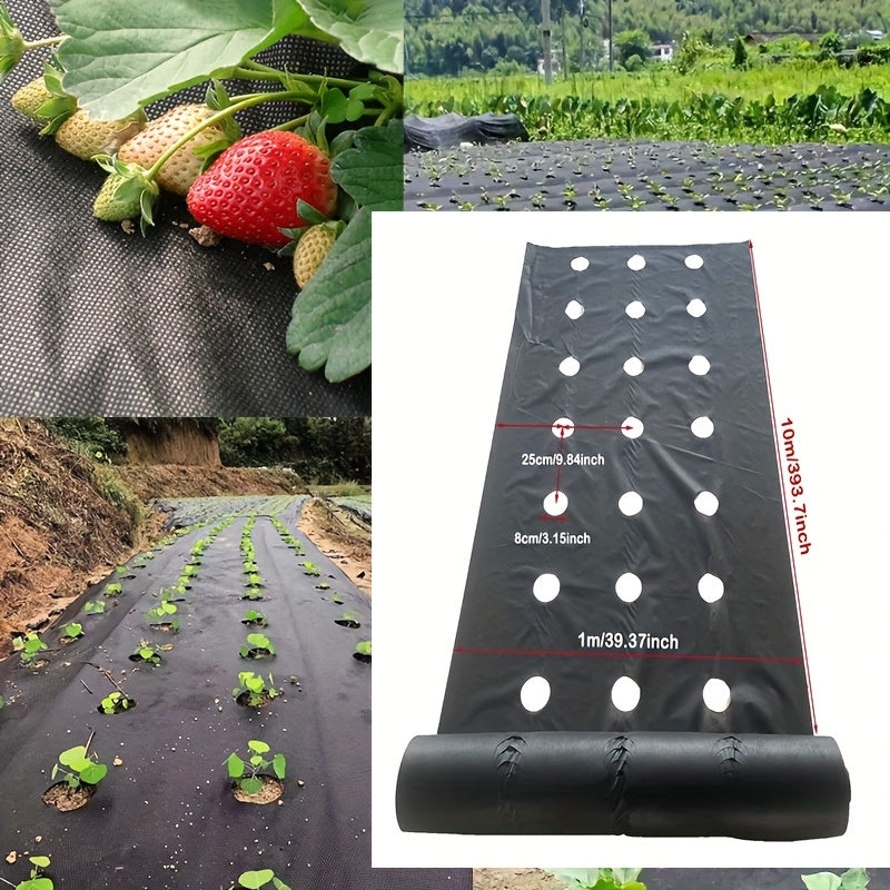 Filet respirant pour fraises et légumes, matériau PP durable, toutes saisons, personnalisable, facile à installer, protège du désherbage et favorise croissance des plantes.