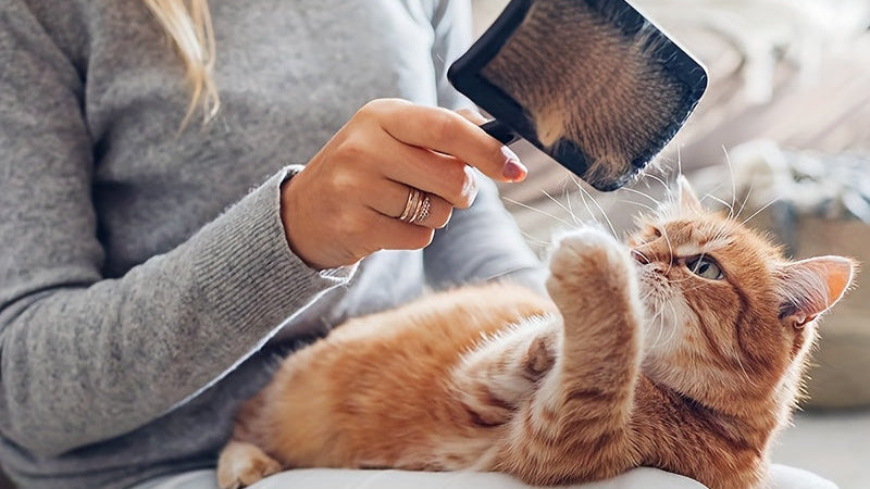 Peigne courbé à coussin d'air pour animaux. Peigne de toilettage idéal pour chiens et chats, pour un démêlage en douceur.
