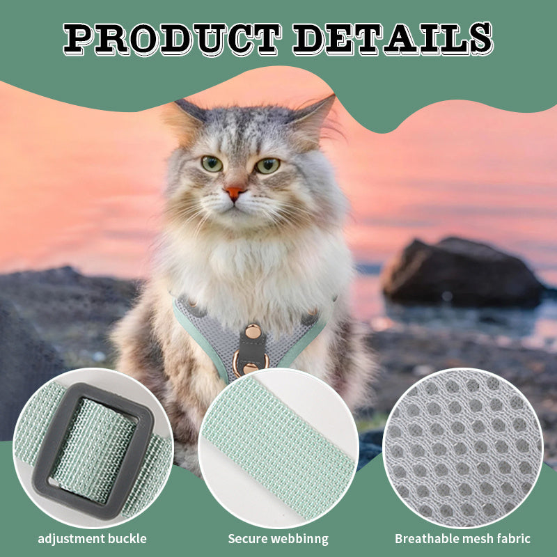 Harnais et laisse haut de gamme pour chats et chiens, maillage respirant, résistant, rivets décoratifs, D-ring doré, idéal promenades et entraînement.