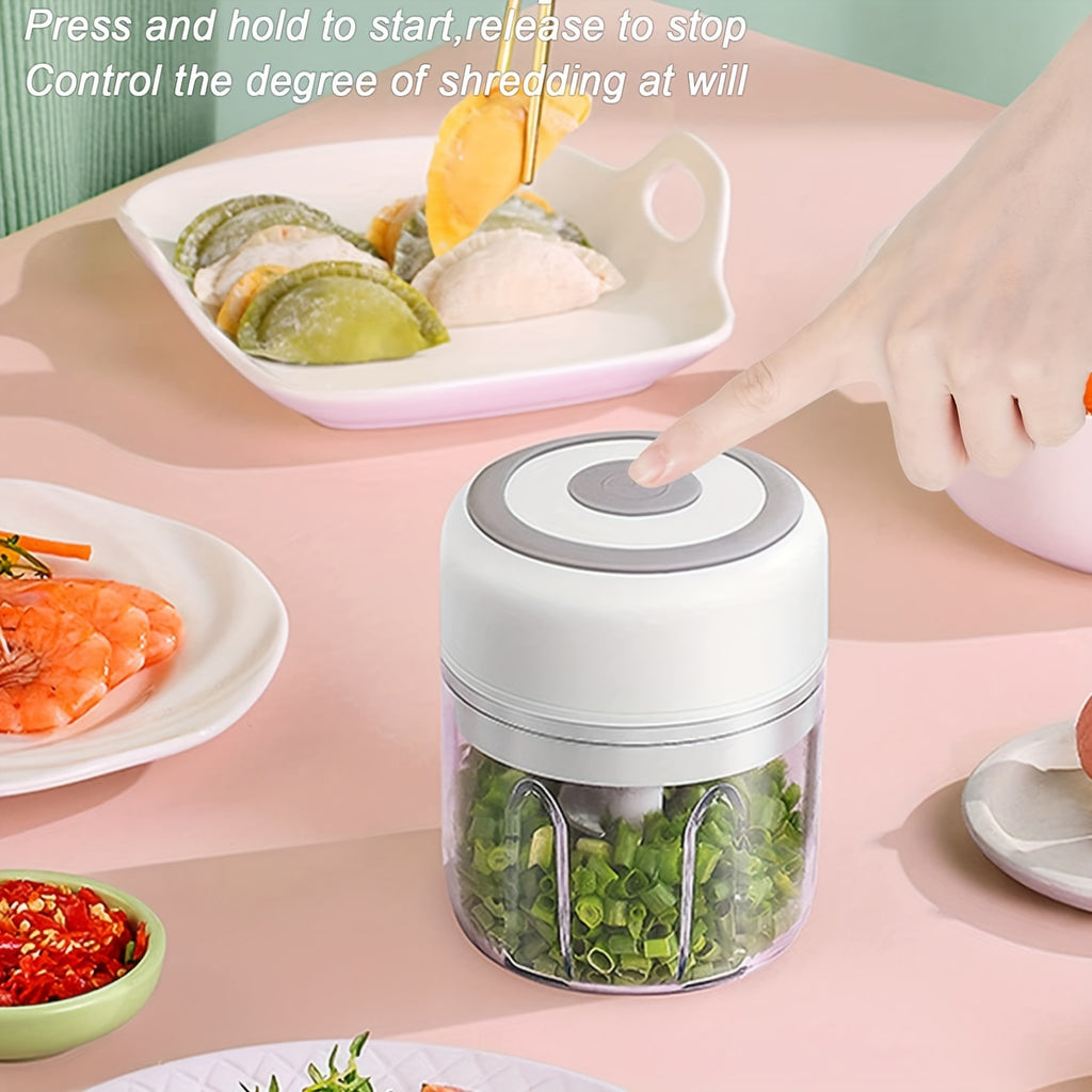 Mini robot culinaire 250 ml avec 3 lames en acier inoxydable, hache viande, légumes et fruits, compact, électrique, pratique pour préparation repas maison.