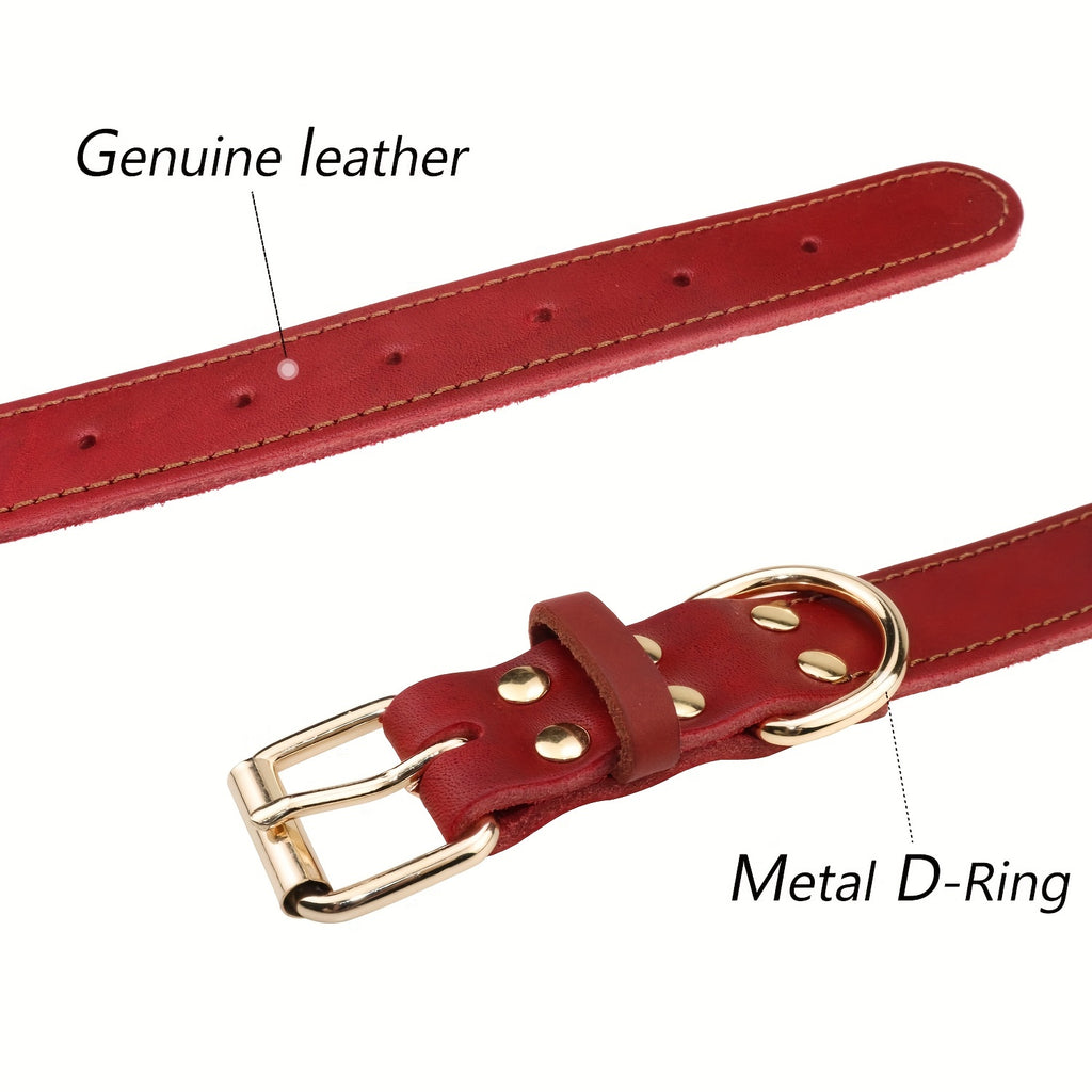 Collier pour chien en cuir personnalisable avec plaque nominative, doux, rembourré, respirant, robuste, boucle métallique antirouille, ajustable pour toutes tailles.