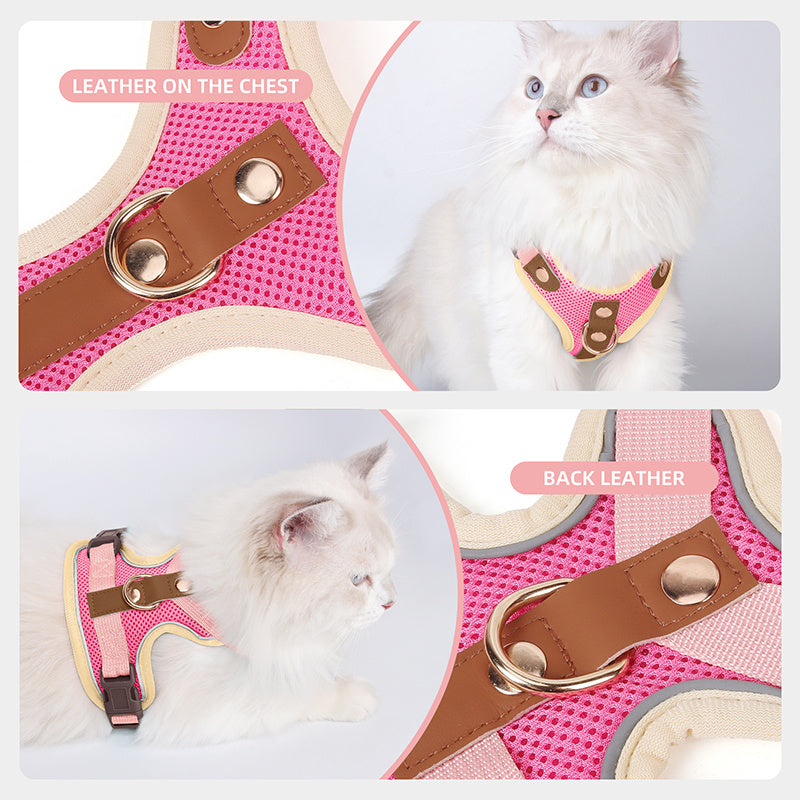 Harnais et laisse haut de gamme pour chats et chiens, maillage respirant, résistant, rivets décoratifs, D-ring doré, idéal promenades et entraînement.