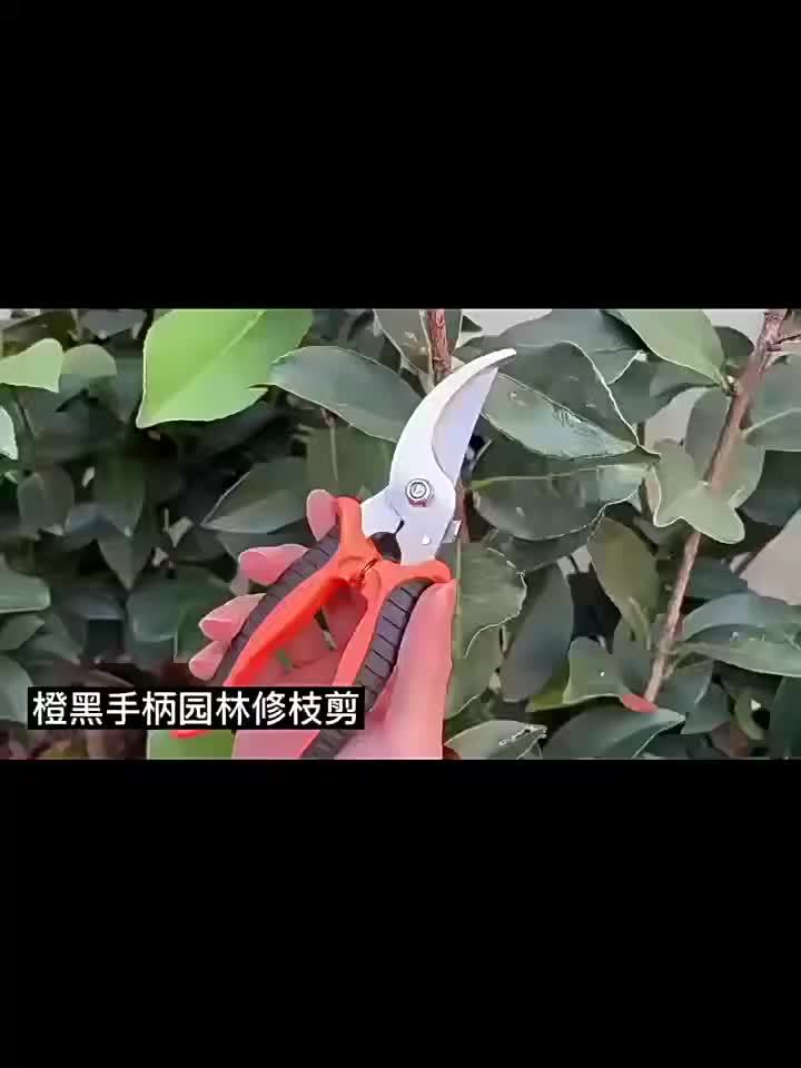 Sécateur de jardin pratique avec poignée verte et noire ergonomique, mécanisme à ressort facilitant ouverture et fermeture pour un usage confortable.