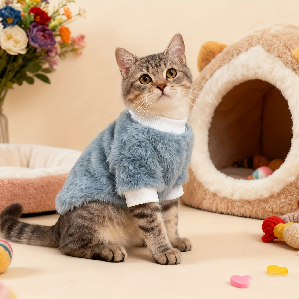 Pull en peluche confortable pour chats petits et moyens, chaud, motifs tigré/tortue, lavable à la main, idéal Noël et toutes saisons.