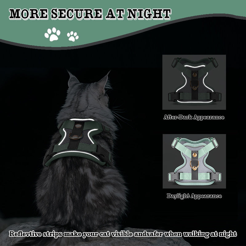 Harnais et laisse haut de gamme pour chats et chiens, maillage respirant, résistant, rivets décoratifs, D-ring doré, idéal promenades et entraînement.