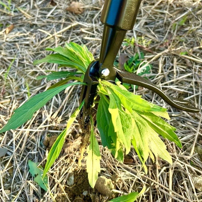 Tête de désherbeur en aluminium robuste, 4 griffes acier pour enlever racines, prise facile, idéal jardin et pelouse (manche non inclus).