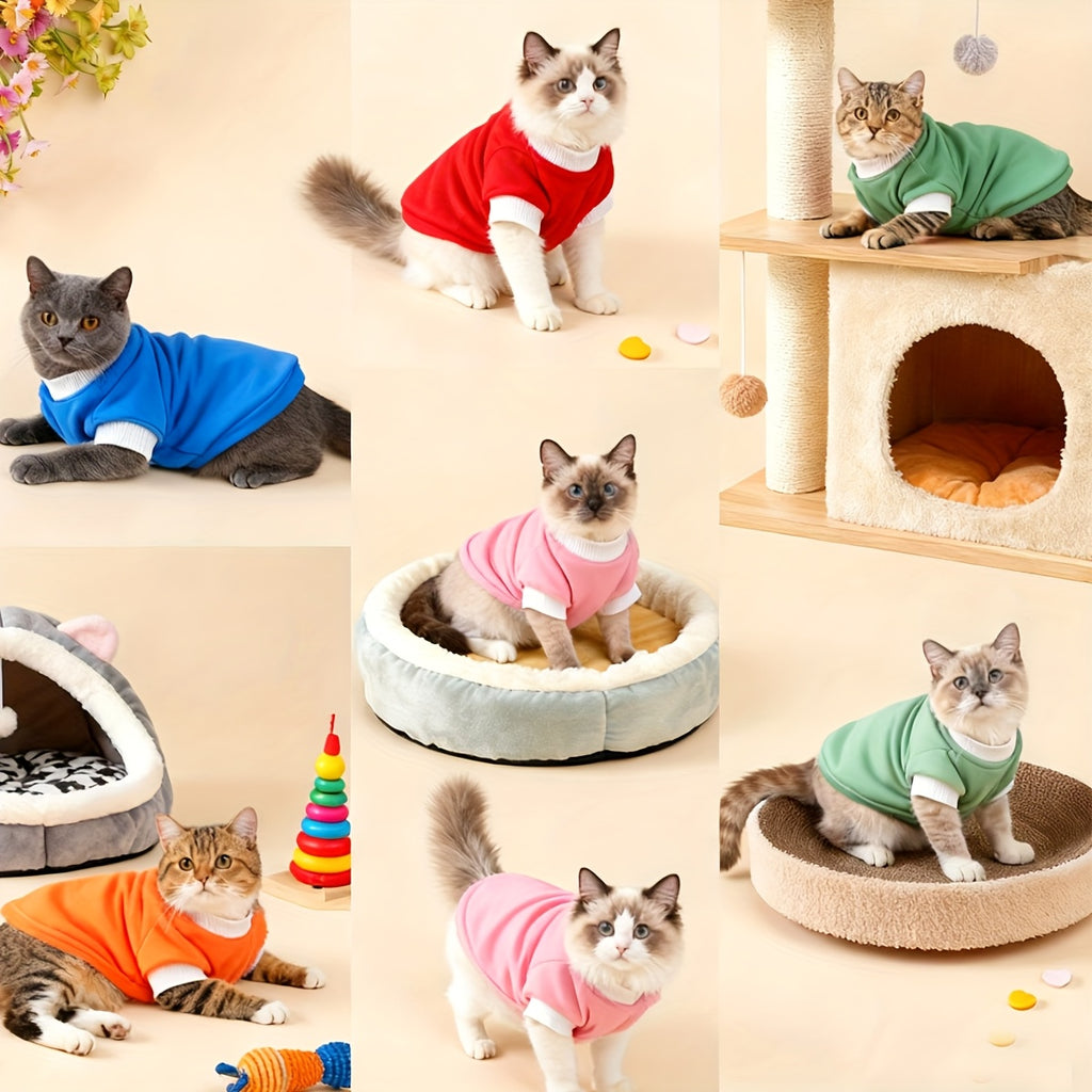 Pull en peluche confortable pour chats petits et moyens, chaud, motifs tigré/tortue, lavable à la main, idéal Noël et toutes saisons.