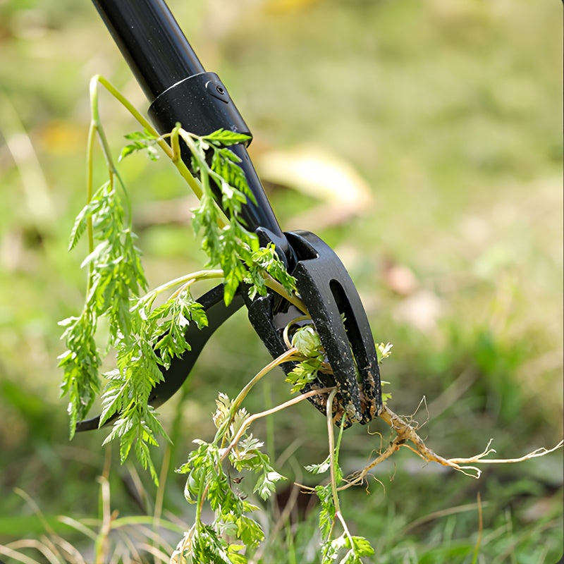 Désherbeur métallique robuste, multifonction, économe en effort, idéal pour enlever racines et entretenir pelouse efficacement.
