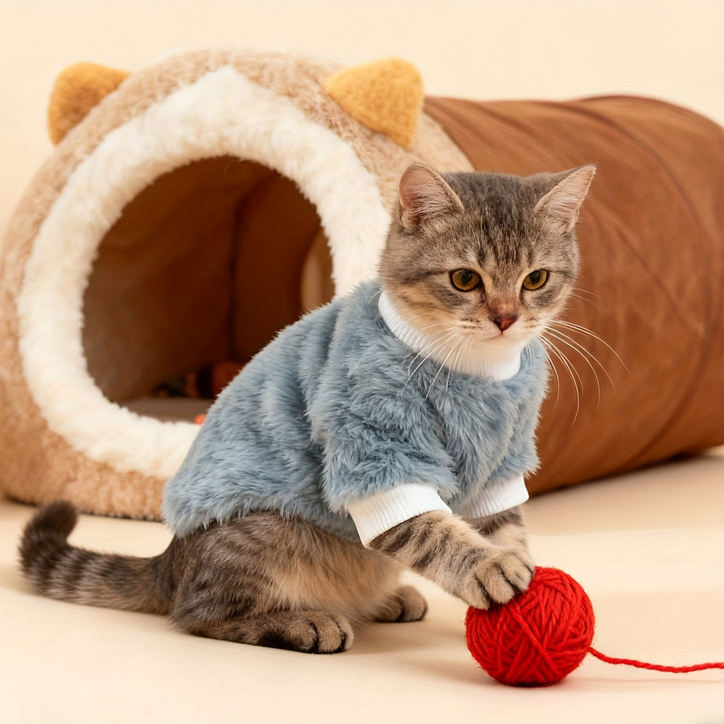 Pull en peluche confortable pour chats petits et moyens, chaud, motifs tigré/tortue, lavable à la main, idéal Noël et toutes saisons.