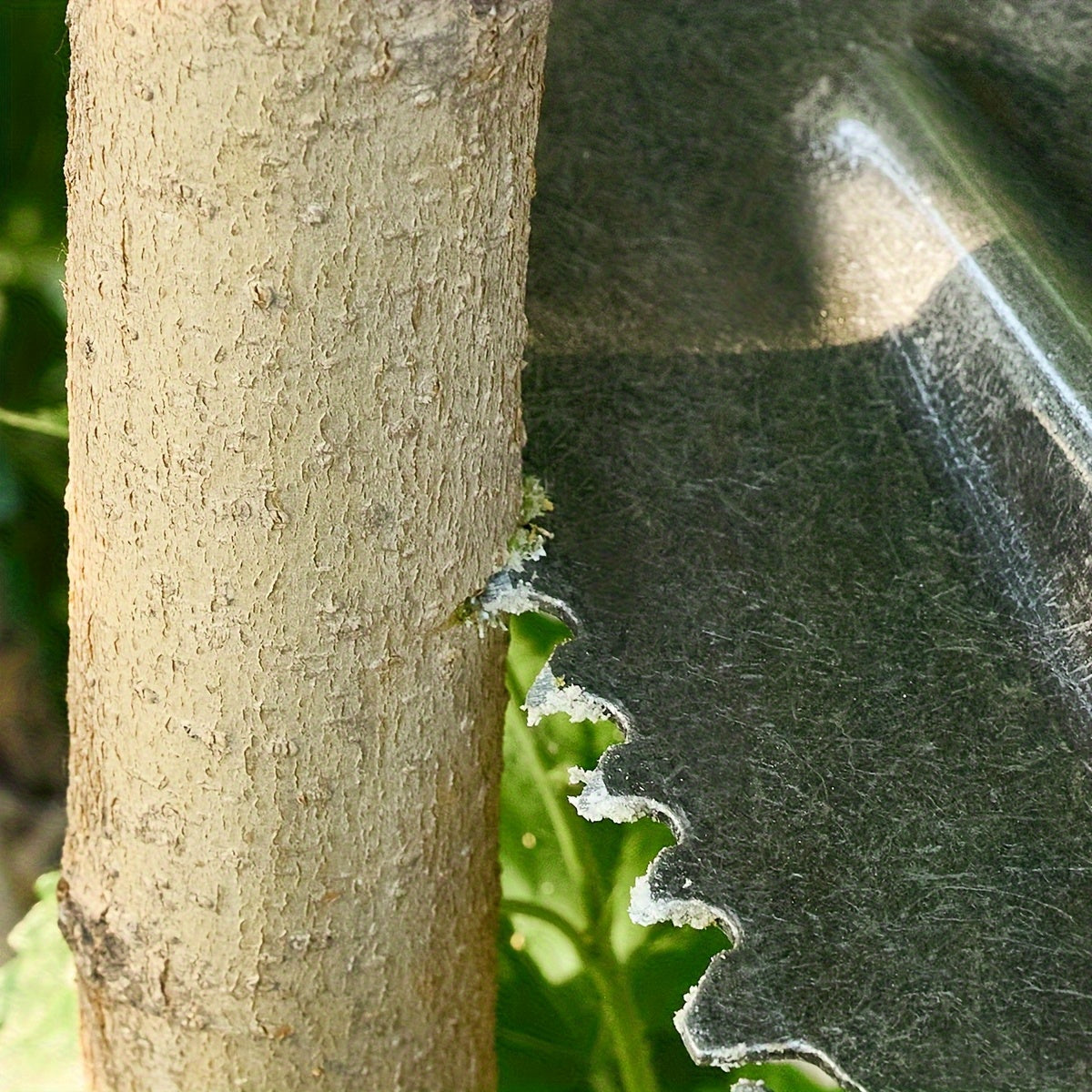 Pelle double usage en acier au manganèse, bord dentelé tranchant, robuste et durable, adaptée abattage, creusement profond, jardinage et préparation de bois de chauffage.