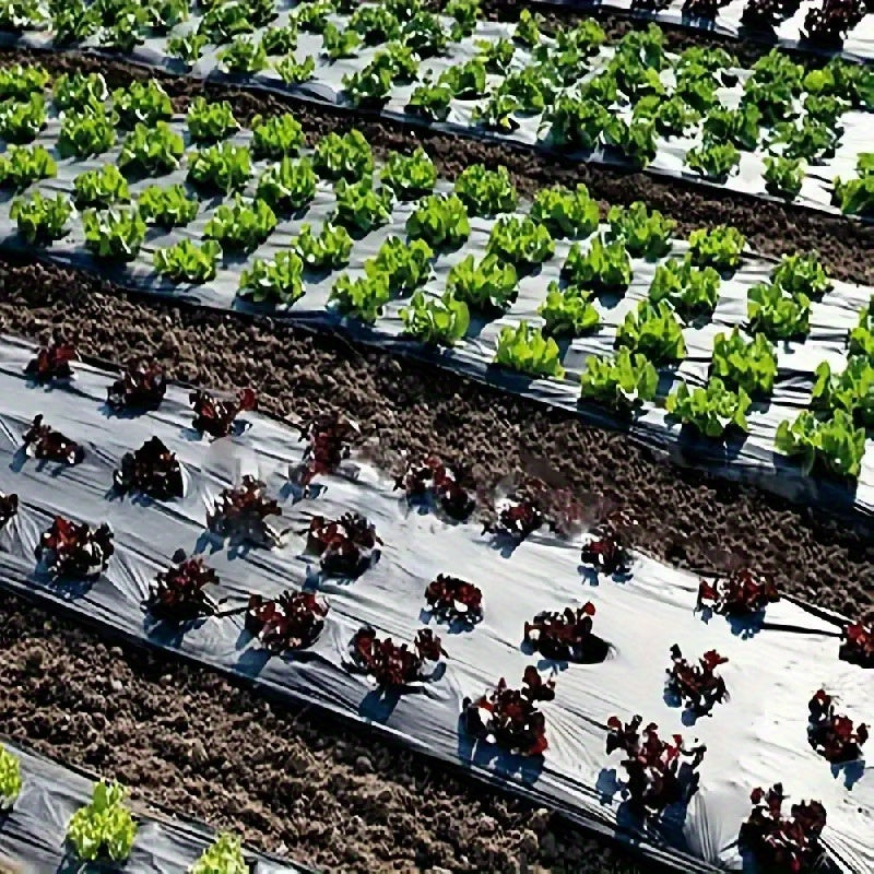 Filet respirant pour fraises et légumes, matériau PP durable, toutes saisons, personnalisable, facile à installer, protège du désherbage et favorise croissance des plantes.