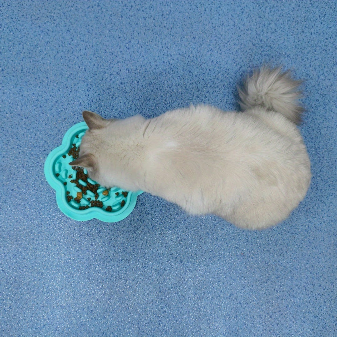 Bol anti-renversement pour chiens et chats, design anti-astuce. Tapis en silicone, base antidérapante, alimentation lente, sans batterie, cadeau idéal pour les propriétaires de chiens.