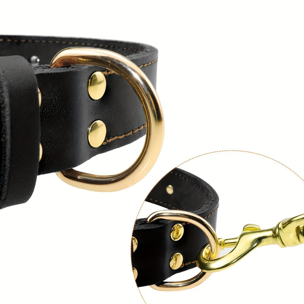 Collier pour chien en cuir personnalisable avec plaque nominative, doux, rembourré, respirant, robuste, boucle métallique antirouille, ajustable pour toutes tailles.