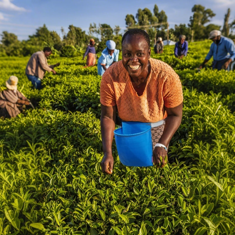 Combinaison PE résistante, grande capacité, durable et facile à nettoyer, parfaite pour jardinage, agriculture, plantation et récolte.