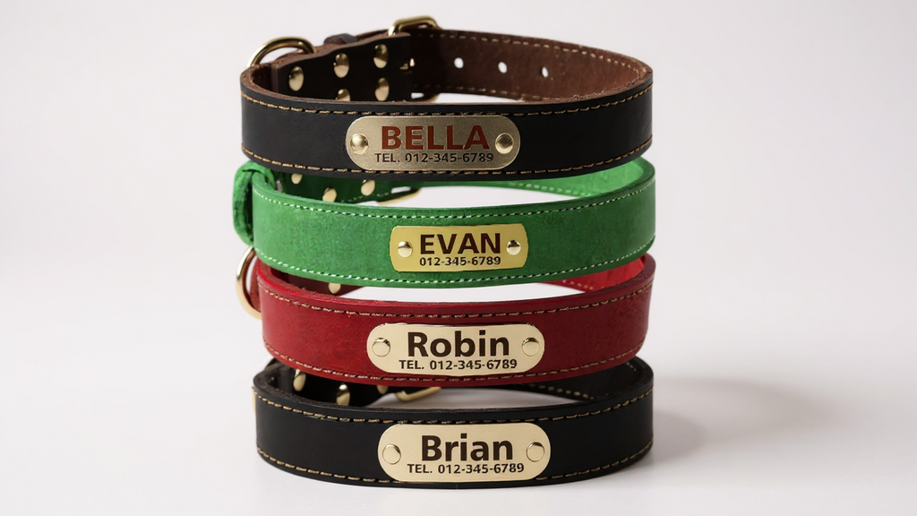 Collier pour chien en cuir personnalisable avec plaque nominative, doux, rembourré, respirant, robuste, boucle métallique antirouille, ajustable pour toutes tailles.